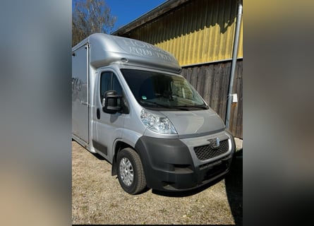 Trasporto cavalli 3,5 t Peugeot Boxer con soli 116.200 km percorsi