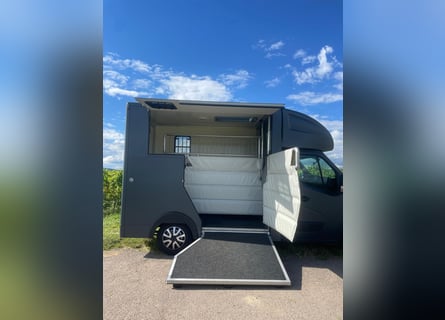 MSG Stablehopper Superlight 8700km Automatik 2 Großpferde