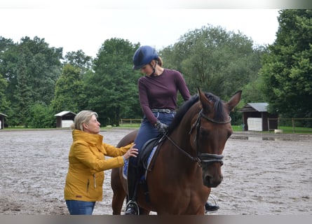 Reiten mit Freude - Individuelles Coaching für Sie und ihr Pferd! Gerne auch bei ihnen vor Ort.