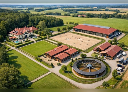 5* Reitanlage an der deutsch/holländischen Grenze