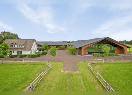 A Stunning Equestrian Estate with Endless Possibilities for the Professional Horse Enthusiast!