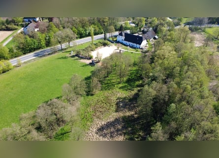 Al Obersee! Fattoria con paddock e maneggio, ideale per più generazioni
