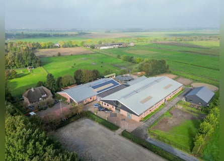 Azienda con strutture equestre professionali e ampie soluzioni abitative