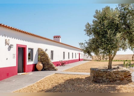 Beautiful Property With Vineyards And Accommodation For Wine Tourism. Beautiful Property With Vineyards And Accommodation For Wine Tourism.