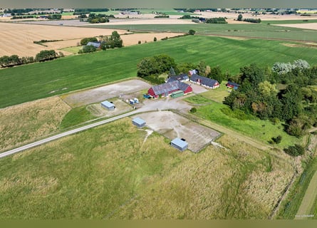 Equestrian Property with Endless Possibilities!