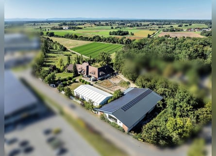 Exklusives Reitanwesen im Rhein-Neckar-Kreis 