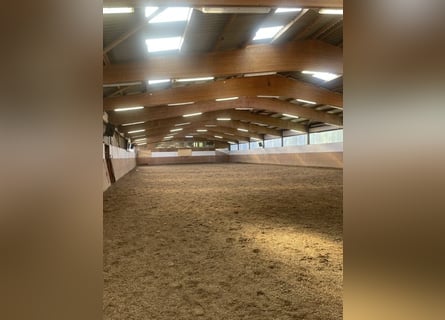 Impianto equestre a Kiel con 6 appartamenti vicino alla spiaggia, senza agenzia