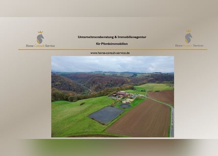 Impianto equestre altamente redditizio con ampio terreno per il mantenimento etologico dei cavalli i