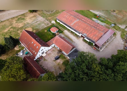 Incantevole fattoria equestre di circa 7,5 ettari, con maneggio coperto, paddock di allenamento, cam