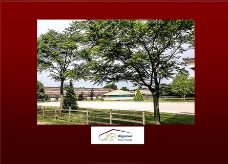 Komplette Reitanlage mit Landhaus nähe Deutsche Grenze in NL.