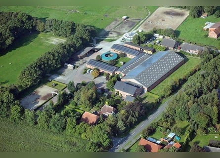 Lukrat Reitanlage, Investoren! Halle 25x60mtr., 2. Anlage Bau.Genehm, neue 177PV-A,  kernsaniert2025