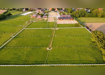 Moderna struttura equestre su 3,4 ettari – maneggio coperto, 13 box, camera del sale e 2 campi da eq