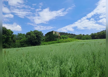 Proprietà equestri a Girona-Costa Brava, molteplici possibilità