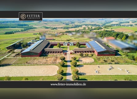 Reitanlage in Lonnig zu verkaufen – in Mitten des Sonderbaugebietes “Wohnen mit Pferden”