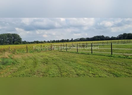 RESERVIERT: Reitanlage bei Hamburg mit 25ha Eigengrund