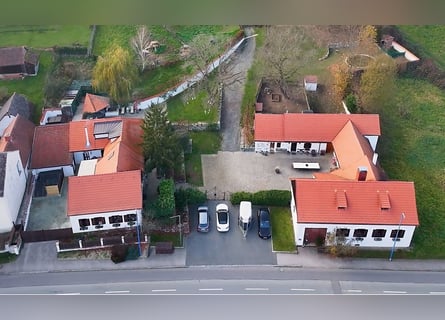 Tenuta nel Sud della Burgenland, ideale per l'allevamento di cavalli, in vendita