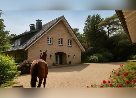 Wunderschönes Reitanwesen in Alleinlage NRW Deutschland