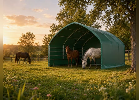-10% OFFERTA Tenda da pascolo, riparo per il pascolo, tenda da magazzino, tenda, rifugio, paddock