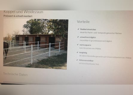Weidezaun von Pro Equus