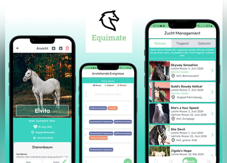 Kostenlose App für Pferdezuchtmanagement