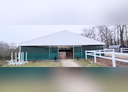 Tenda da circo 15x30 m da vendere come tenda per equitazione, magazzino o spazio per eventi.