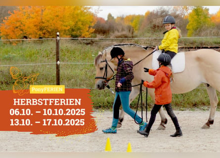 Reiterferien „Herbstzauber“