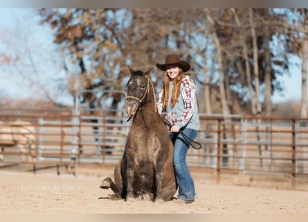 Poni cuarto de milla, Caballo castrado, 9 años, 122 cm