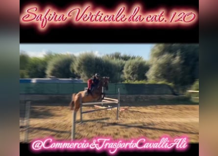 Pony francés de montar a caballo Mestizo, Yegua, 11 años, 145 cm, Alazán