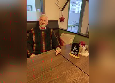 Pony tedesco, Stallone, 1 Anno, 148 cm, Pelle di daino