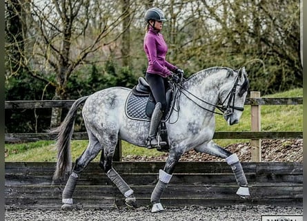 PRE Mix, Ruin, 7 Jaar, Schimmel