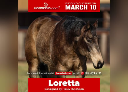 Quarter horse américain, Jument, 11 Ans, 150 cm, Buckskin