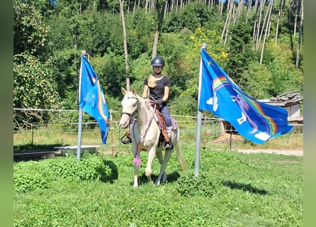 Quarter Pony, Giumenta, 3 Anni, 140 cm, Champagne