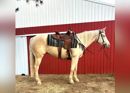 Quarter pony, Jument, 9 Ans