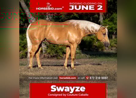 Quarter Pony, Mare, 7 years, 13,2 hh, Palomino