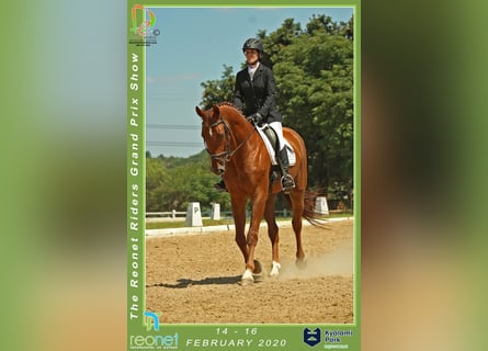 Reitbeteiligung gesucht (Raum Ratingen)