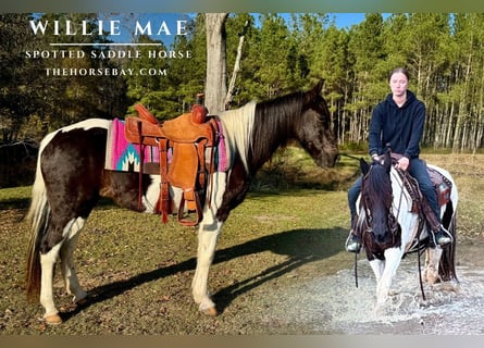 Spotted Saddle Horse, Mare, 13 years, 14.3 hh, Tobiano-all-colors