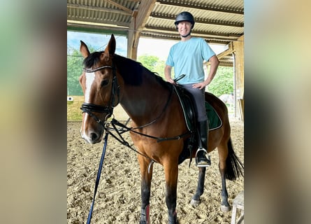 suche Reiteiligung Nähe D-Gerresheim (PLZ 40625)
