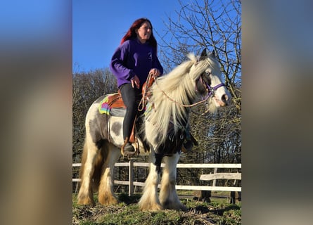 Tinker, Klacz, 11 lat, 140 cm, Srokata