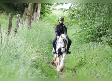 Tinker, Merrie, 4 Jaar, 128 cm, Gevlekt-paard