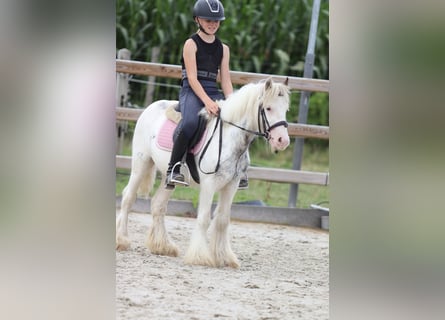 Tinker, Ruin, 4 Jaar, 114 cm, Gevlekt-paard