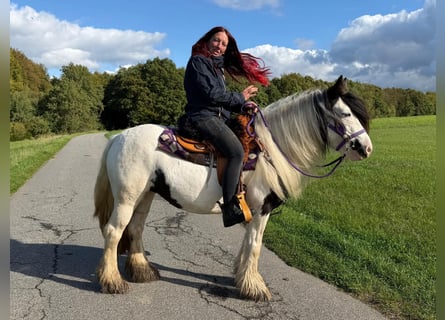 Tinker, Yegua, 4 años, 142 cm, Pío