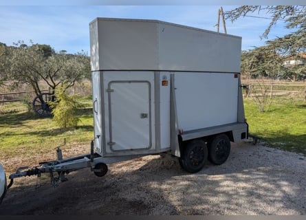 Paard Westfalia, 1200 kg, te schenken