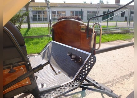 New covered wagon