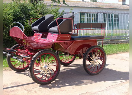 Neuer Fahrschulwagen!