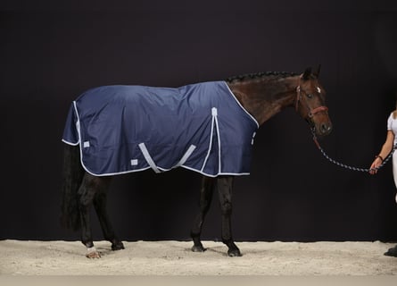 2 Outdoor Rugs 600D-400g 135/185cm