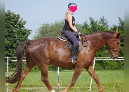 Reiterferien für Mädchen ab 10. Unsere Termine für 2026 sind online, wir freuen uns auf euch. 