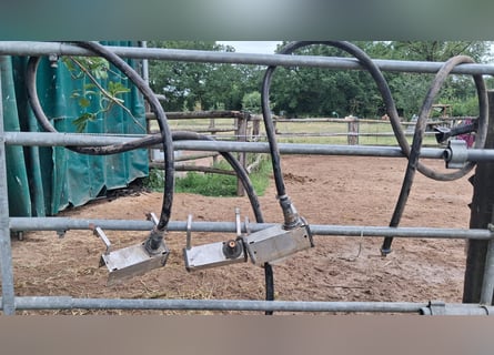 Zwemventielen voor waterboot