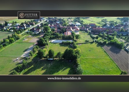 Reitanlage in Sachsen-Anhalt mit 6 ha Weidefläche diskret zu verkaufen!