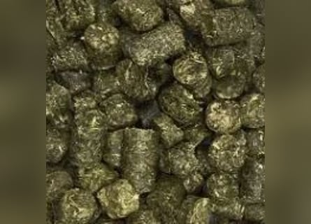 Heucobs 