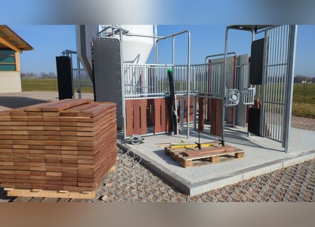 Nieuwe actieve stal mei 2026, München Oost, 2 binnenbakken